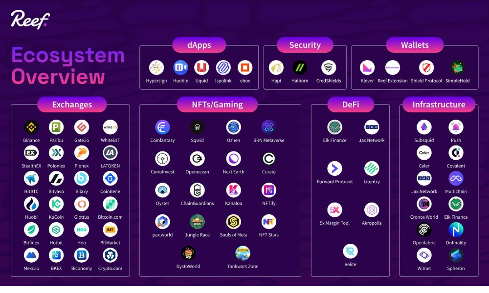 Reef là gì? Dự án Layer 1 đáng chú ý trong vũ trụ Polkadot 3 hệ sinh thái của reef