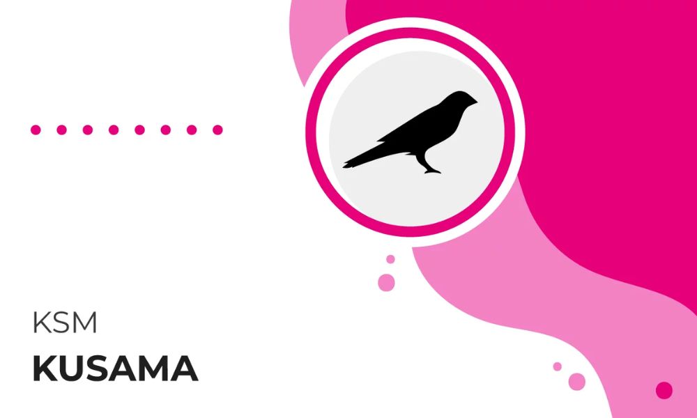 Kusama là gì? Đánh giá chi tiết dự án & Tiềm năng đầu tư 2026 7 Hệ sinh thái Kusama