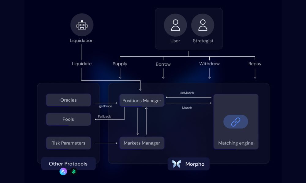 Morpho là gì? "Cú hích" công nghệ thay đổi cuộc chơi Lending trong DeFi 4 Morpho nổi bật nhờ kiến trúc sáng tạo
