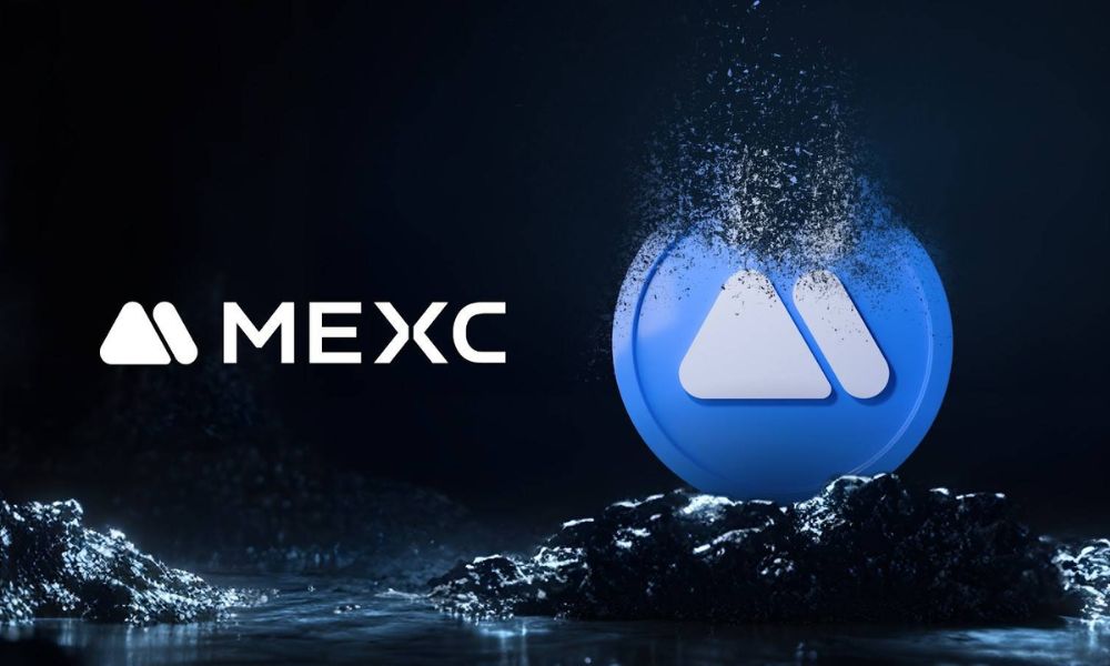 mx token