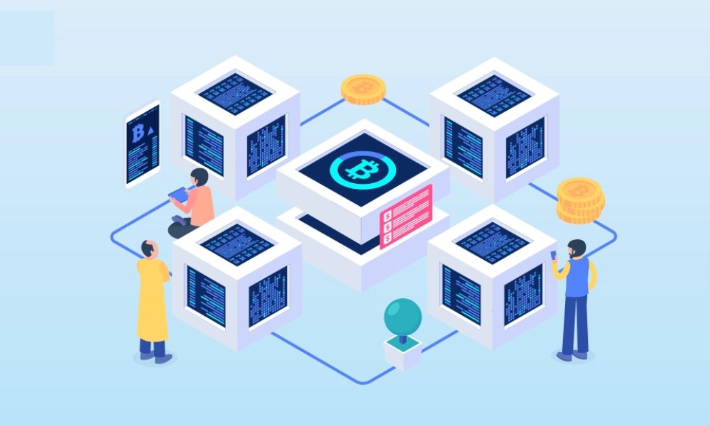 Node là gì? Các loại Node cần biết trong thế giới tiền mã hóa 1 node là gì