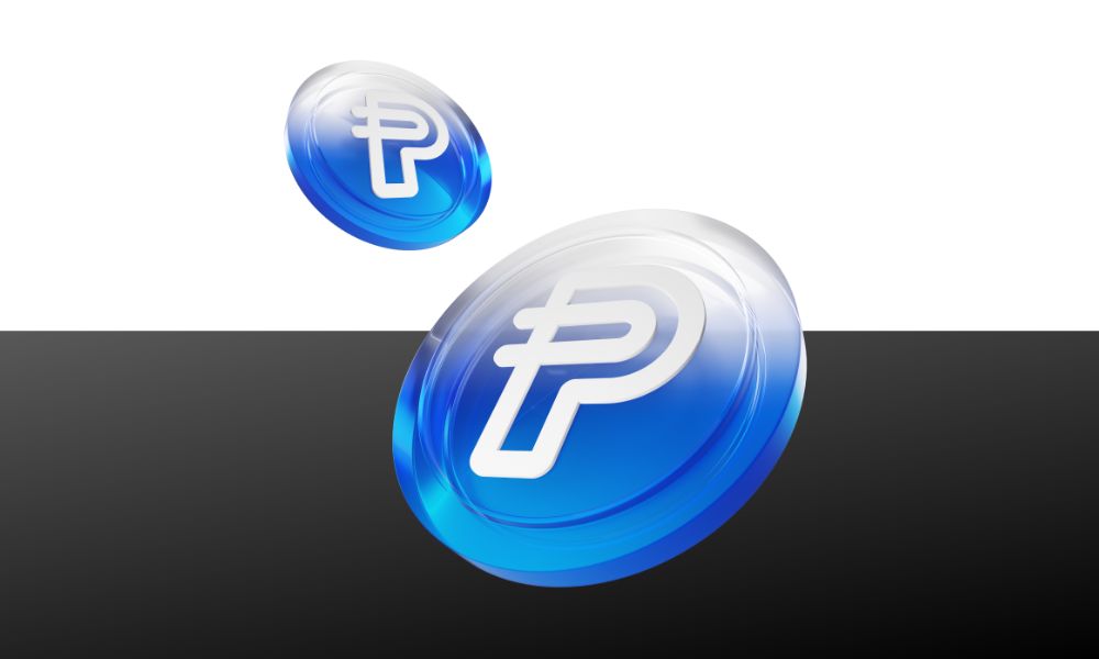 PayPal USD là gì? "Gã khổng lồ" thanh toán bước chân vào Web3 5 PYUSD là token gốc và duy nhất của dự án PayPal USD
