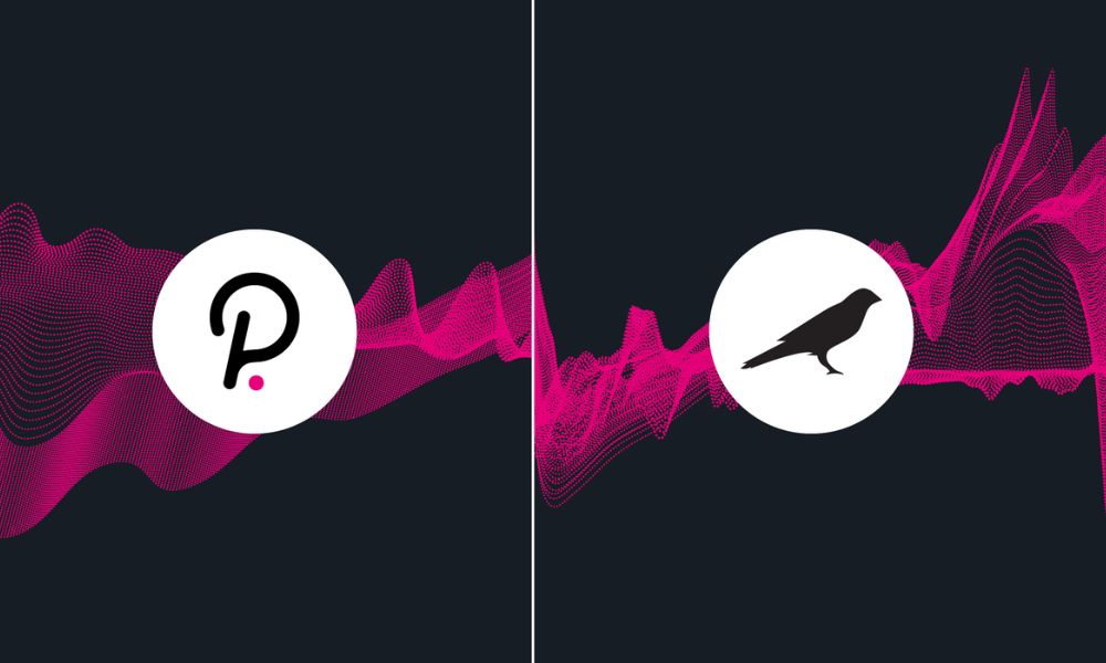 Kusama là gì? Đánh giá chi tiết dự án & Tiềm năng đầu tư 2026 4 Sự khác biệt giữa Kusama (KSM) và Polkadot (DOT)