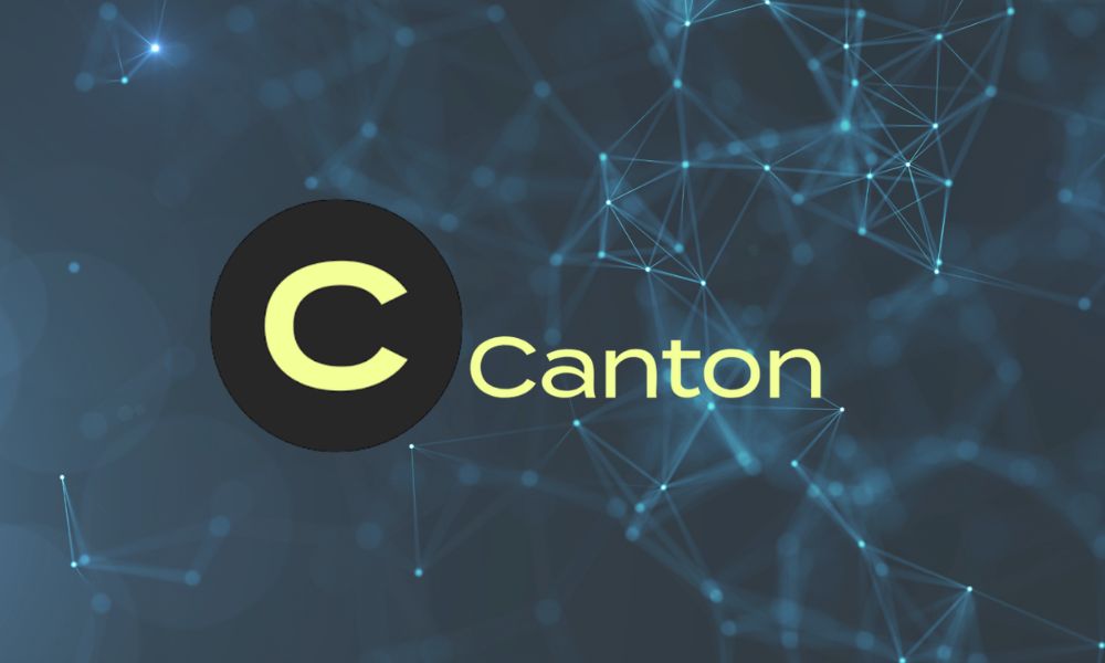 Thông tin cơ bản về CC Token