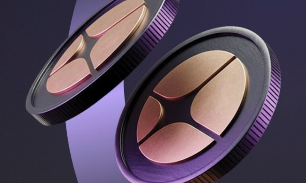 tìm hiểu về aster