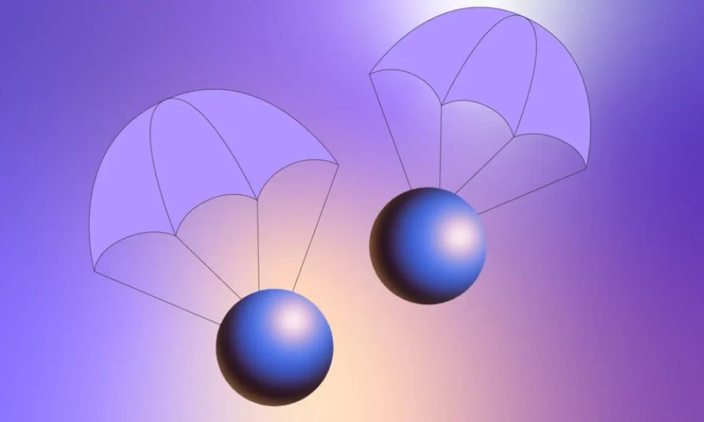 tìm hiểu về zora