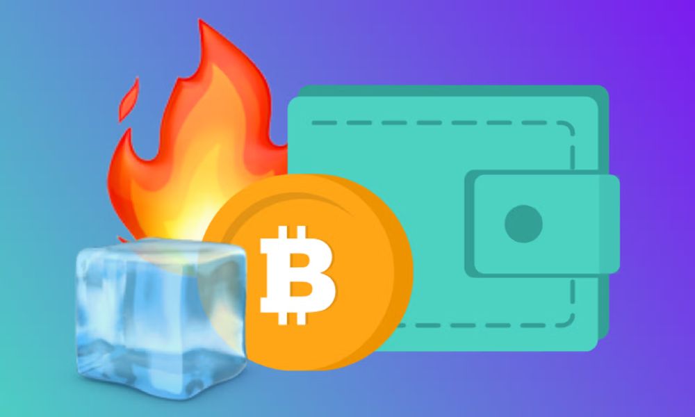 vai trò của ví lạnh trong giao dịch