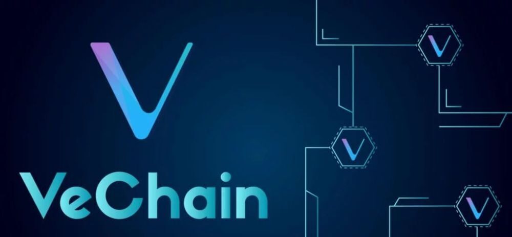 vechain cùng hệ sinh thái với vethor