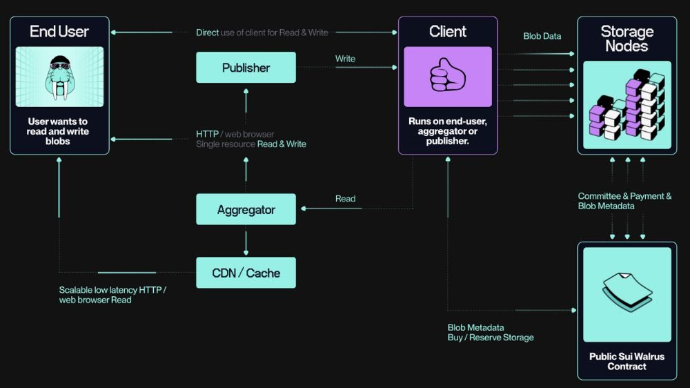 Walrus là gì? Đánh giá tiềm năng dự án lưu trữ phi tập trung trên Sui 2026 4 Walrus cung cấp một bộ công cụ hạ tầng cốt lõi
